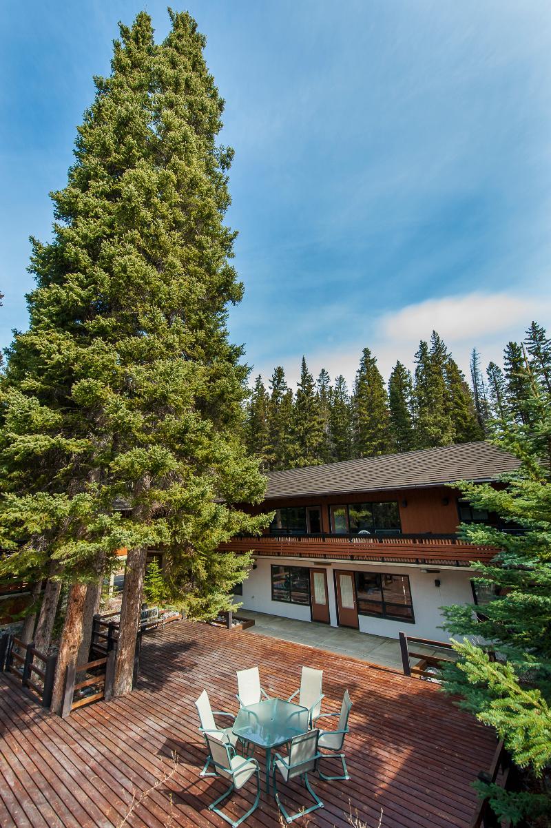 The Dorothy Motel Banff Extérieur photo